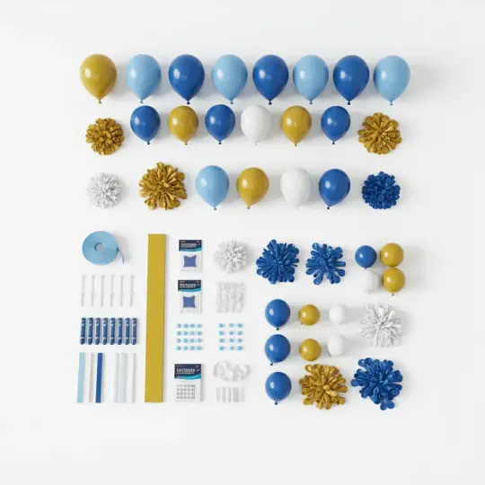 Deluxe Balloon Arch Kit