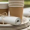 Disposable Tableware Bundle
